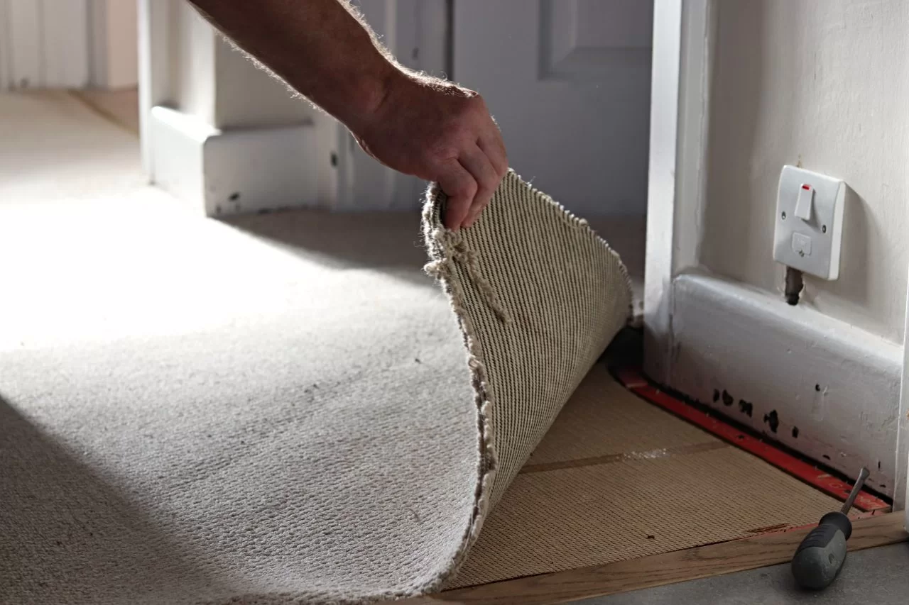 man pulling up carpet from floor showing underlay and gripper rods